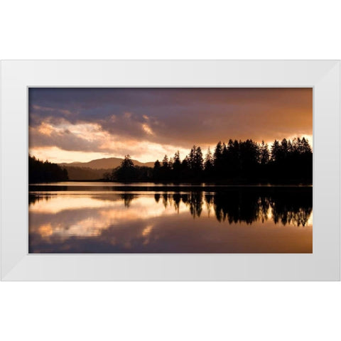 Hammersley Inlet White Modern Wood Framed Art Print by Delimont, Danita