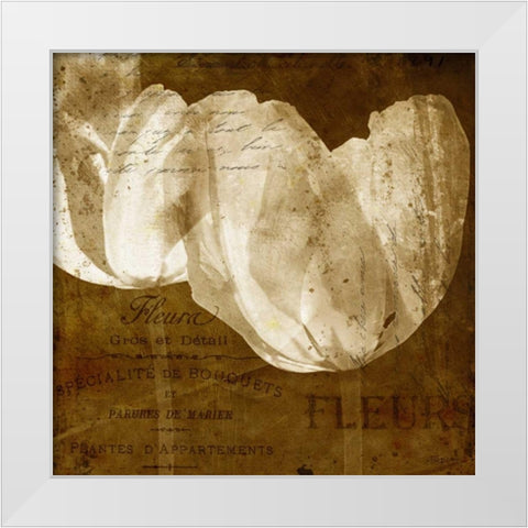 Tulip White Modern Wood Framed Art Print by Craven, Katrina