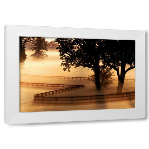 Kentucky Morning White Modern Wood Framed Art Print by Delimont, Danita