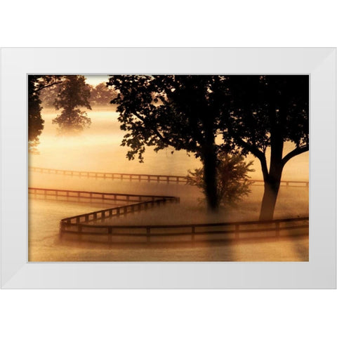 Kentucky Morning White Modern Wood Framed Art Print by Delimont, Danita