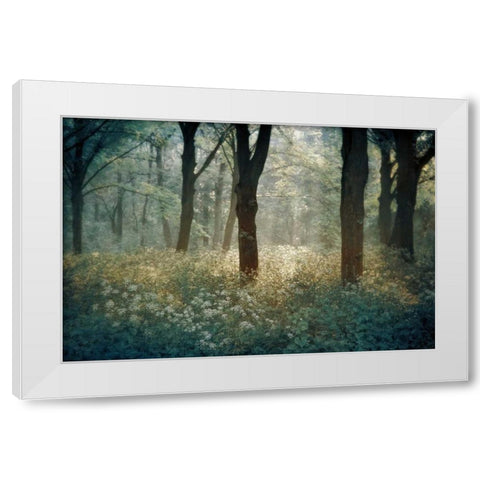 Foret De White Modern Wood Framed Art Print by Van de Goor, Lars