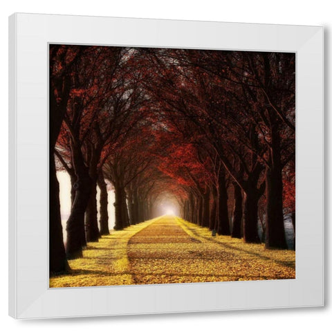 Wonder Curve White Modern Wood Framed Art Print by Van de Goor, Lars