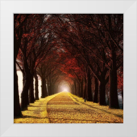 Wonder Curve White Modern Wood Framed Art Print by Van de Goor, Lars