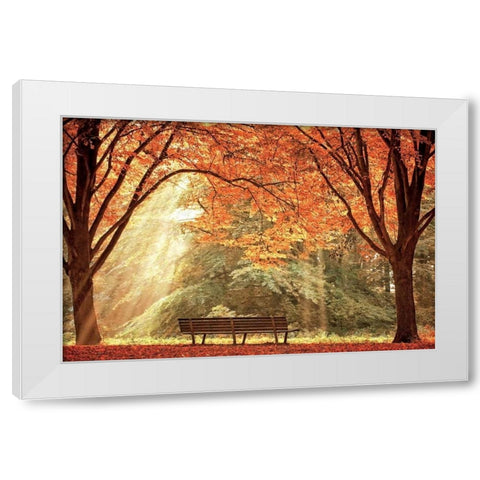 Sun Never Set White Modern Wood Framed Art Print by Van de Goor, Lars