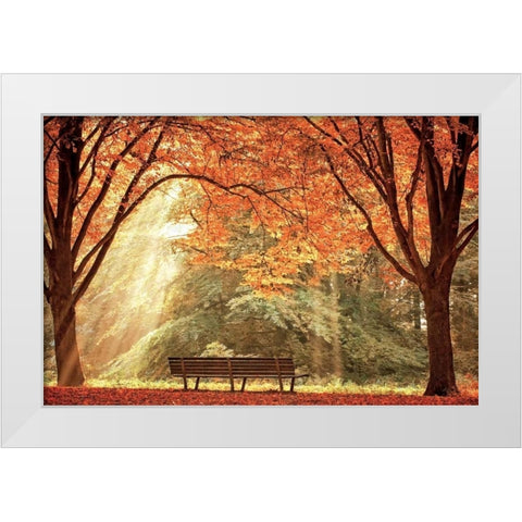 Sun Never Set White Modern Wood Framed Art Print by Van de Goor, Lars