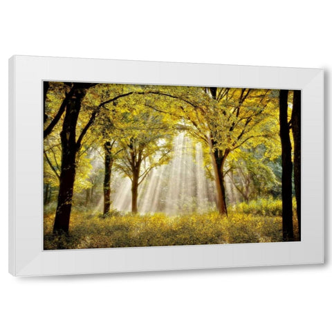 Dressed To White Modern Wood Framed Art Print by Van de Goor, Lars