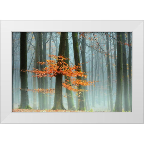 Last Leaves White Modern Wood Framed Art Print by Van de Goor, Lars