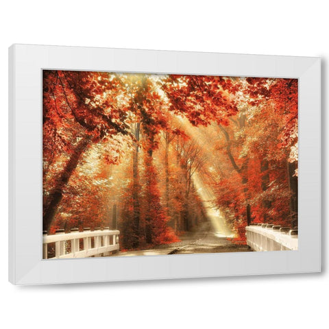 Red for Rest White Modern Wood Framed Art Print by Van de Goor, Lars