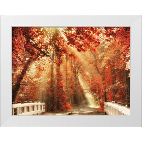 Red for Rest White Modern Wood Framed Art Print by Van de Goor, Lars