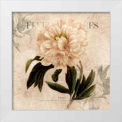 White Peony II White Modern Wood Framed Art Print by Robinson, Carol