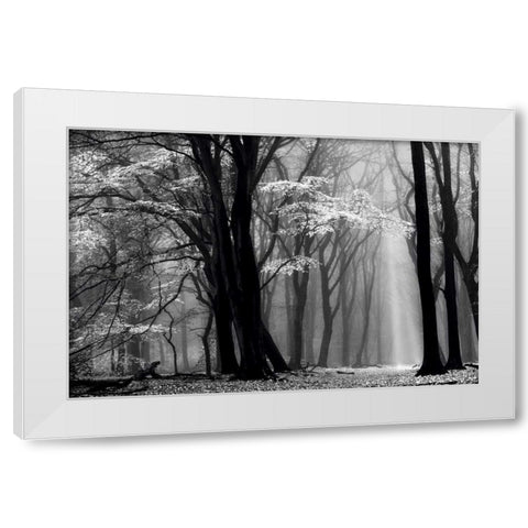 Winter is Coming White Modern Wood Framed Art Print by Van de Goor, Lars