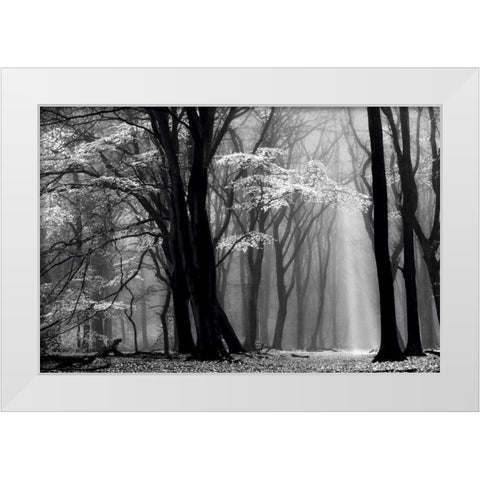 Winter is Coming White Modern Wood Framed Art Print by Van de Goor, Lars