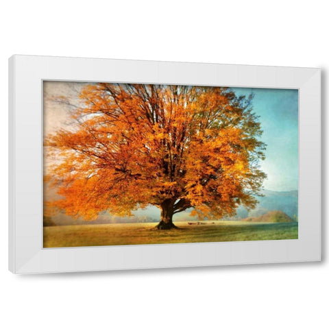 Autumns Passion White Modern Wood Framed Art Print by Weisz, Irene