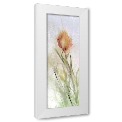 Tulip Breeze I White Modern Wood Framed Art Print by Calascibetta, Mike