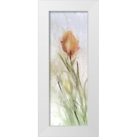 Tulip Breeze I White Modern Wood Framed Art Print by Calascibetta, Mike