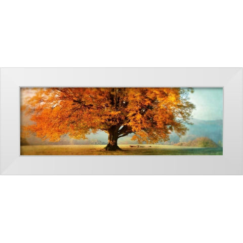 Autumn Emotion White Modern Wood Framed Art Print by Weisz, Irene