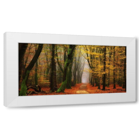 Shimmer White Modern Wood Framed Art Print by Van de Goor, Lars