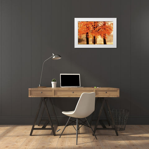 Three Trees White Modern Wood Framed Art Print by Weisz, Irene