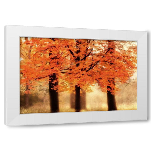 Three Trees White Modern Wood Framed Art Print by Weisz, Irene