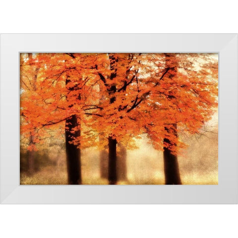 Three Trees White Modern Wood Framed Art Print by Weisz, Irene
