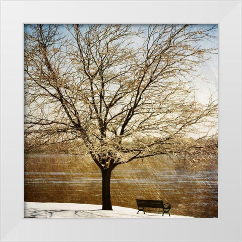 Lonely Tree in the Sun White Modern Wood Framed Art Print by Craven, Katrina