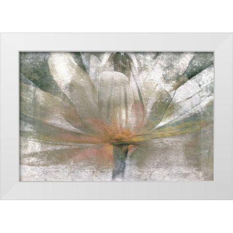 Lily Light White Modern Wood Framed Art Print by Calascibetta, Mike