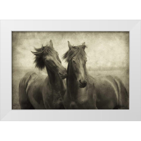Horses Dont Whisper White Modern Wood Framed Art Print by Van de Goor, Lars