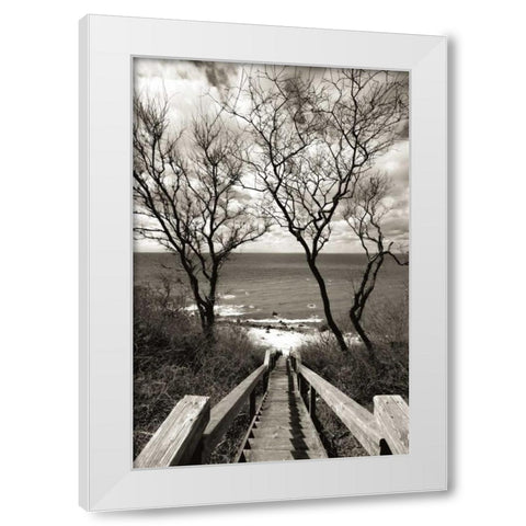 Cutchogue Horton Point Lighthouse Stairs White Modern Wood Framed Art Print by Delimont, Danita
