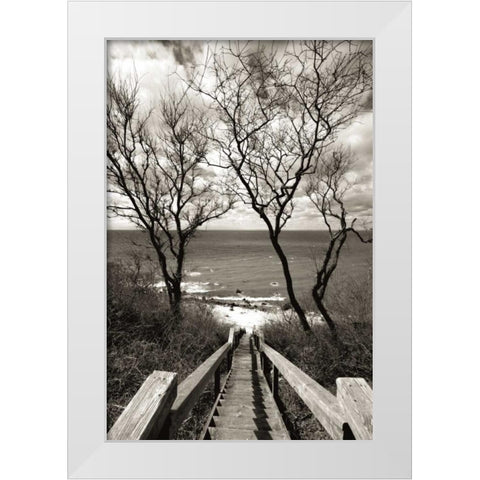 Cutchogue Horton Point Lighthouse Stairs White Modern Wood Framed Art Print by Delimont, Danita