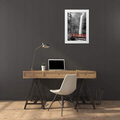 Silver Falls White Modern Wood Framed Art Print by Delimont, Danita