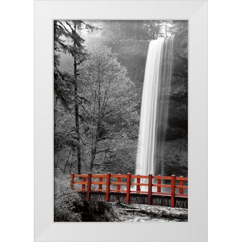 Silver Falls White Modern Wood Framed Art Print by Delimont, Danita