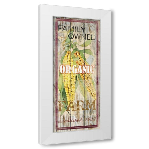 Corn White Modern Wood Framed Art Print by Robinson, Carol