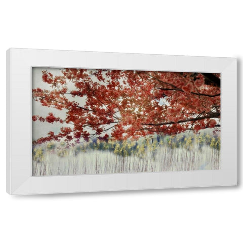 Sakura in the Lake II White Modern Wood Framed Art Print by Weisz, Irene