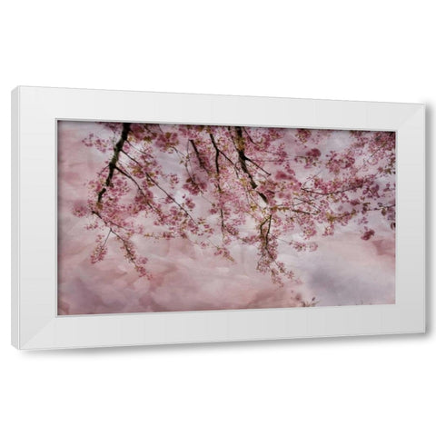 Joy of Spring White Modern Wood Framed Art Print by Weisz, Irene