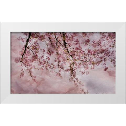Joy of Spring White Modern Wood Framed Art Print by Weisz, Irene