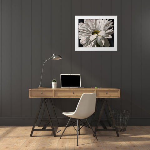 Black Tie Daisy White Modern Wood Framed Art Print by Macoce, Ellen
