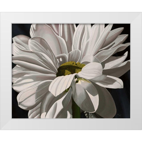 Black Tie Daisy White Modern Wood Framed Art Print by Macoce, Ellen