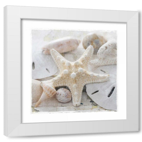 Sanibel I White Modern Wood Framed Art Print by Jackson, Susan