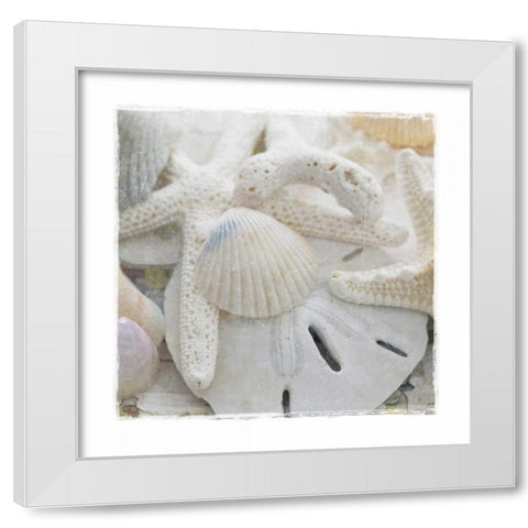 Sanibel III White Modern Wood Framed Art Print by Jackson, Susan