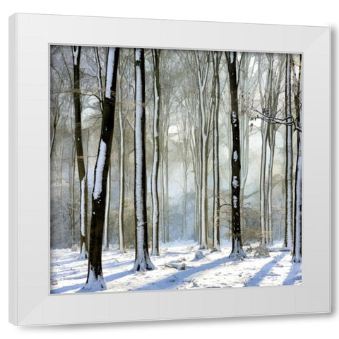 Enchanted Forest White Modern Wood Framed Art Print by Van de Goor, Lars