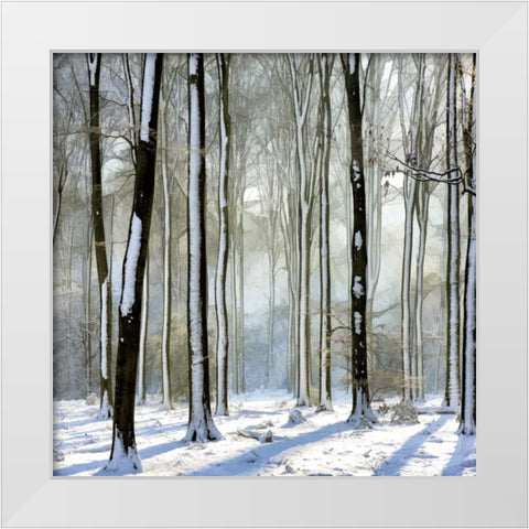 Enchanted Forest White Modern Wood Framed Art Print by Van de Goor, Lars