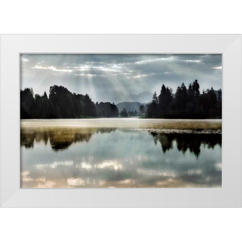 Morning Bliss I White Modern Wood Framed Art Print by Weisz, Irene