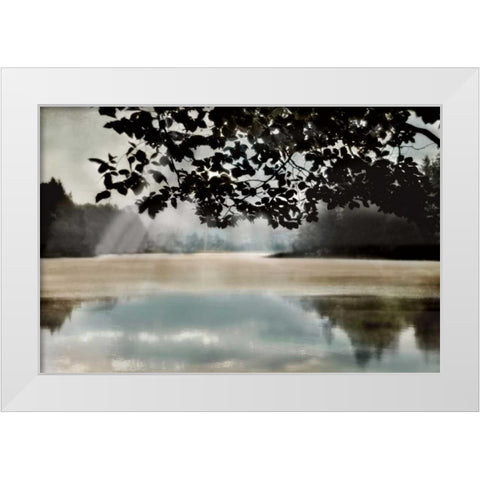 Morning Bliss II White Modern Wood Framed Art Print by Weisz, Irene