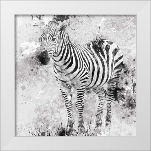 Zebra I White Modern Wood Framed Art Print by Robinson, Carol