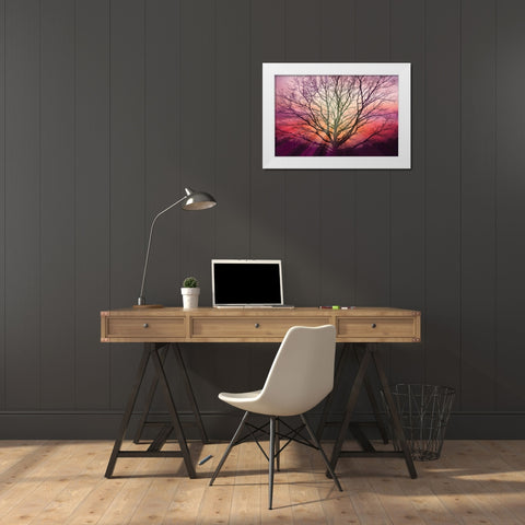 Sunburst Sentinel White Modern Wood Framed Art Print by Weisz, Irene