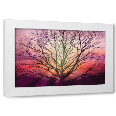 Sunburst Sentinel White Modern Wood Framed Art Print by Weisz, Irene