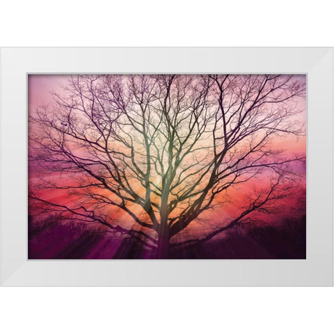 Sunburst Sentinel White Modern Wood Framed Art Print by Weisz, Irene