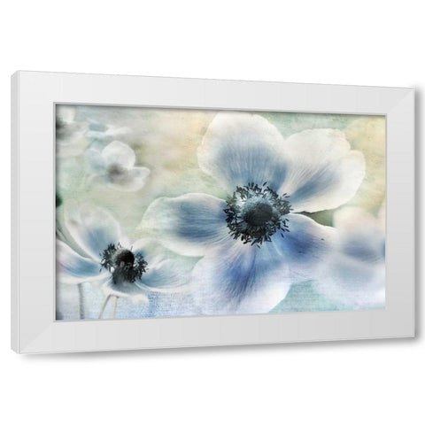 Anemone Cheer White Modern Wood Framed Art Print by Weisz, Irene