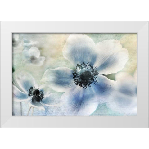 Anemone Cheer White Modern Wood Framed Art Print by Weisz, Irene