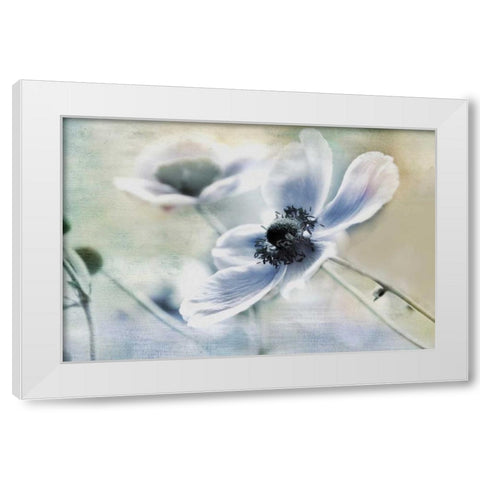 Anemone Whisper White Modern Wood Framed Art Print by Weisz, Irene